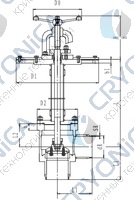 Криогенный запорный клапан угловой CCK T151DL125-250 PN10