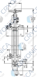 Криогенный запорный клапан угловой CCK T351DL50-80 PN64