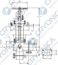 Криогенный запорный клапан угловой CCK T121DB25-50 PN6