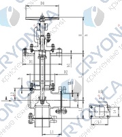 Криогенный запорный клапан угловой CCK T121DL25-50 PN6