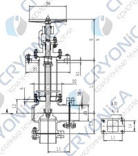 Криогенный запорный клапан угловой CCK T121DL65-100 PN6