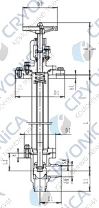 Криогенный запорный клапан угловой CCK T211DB50-100 PN16