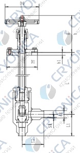 Криогенный запорный клапан угловой CCK T251DB10-15 PN25