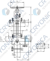 Криогенный запорный клапан угловой CCK T321DB65-80 PN40