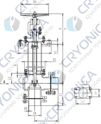 Криогенный запорный клапан угловой CCK T321DL65-80 PN40
